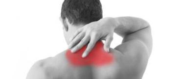 neck pain neck pain